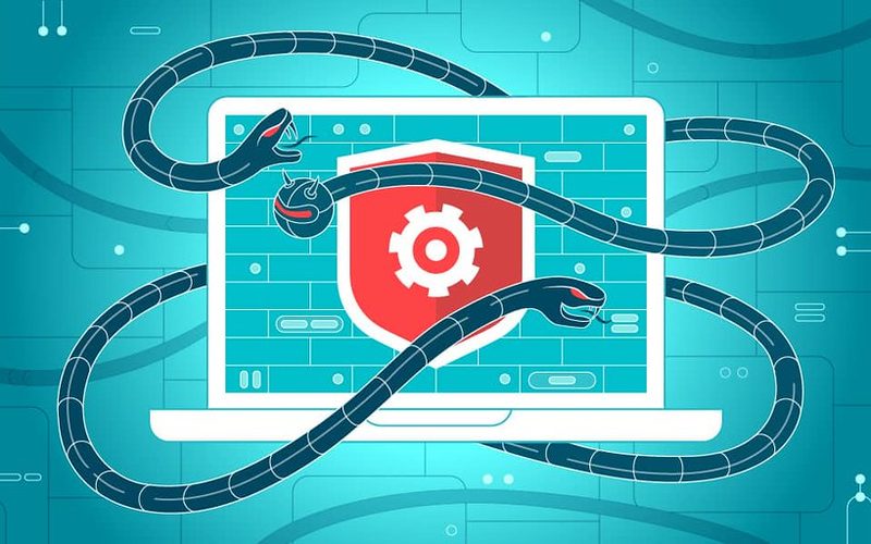 News1: HTTPS & Website Security